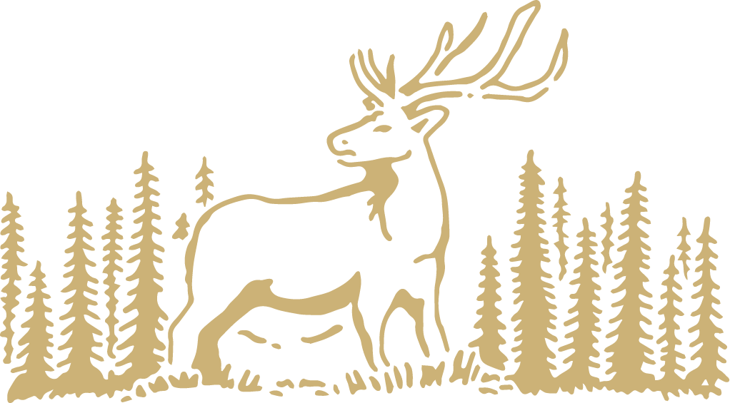 Graphic 31