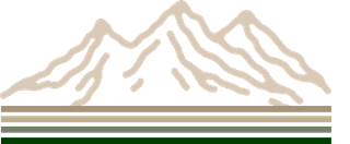 Graphic 3